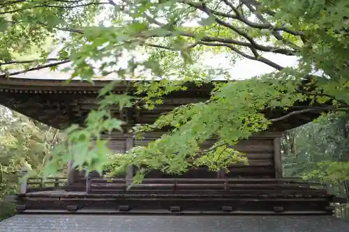 泰寧寺の本殿・本堂