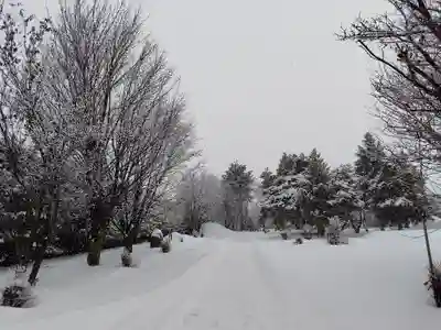 美瑛神社(北海道)