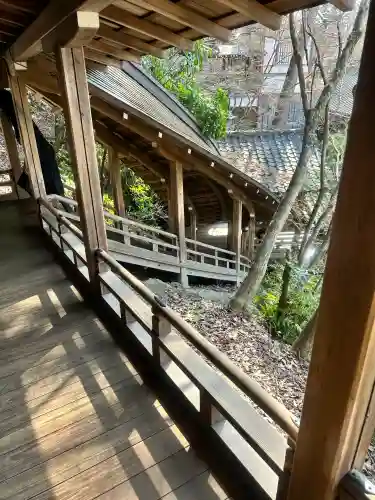 禅林寺（永観堂）の{uncategorized: "未分類", other: "その他", undefined: "問題あり", building: "その他建物", grave: "お墓", sacred_gate: "鳥居", guardian: "狛犬", statue: "像", buddha: "仏像", history: "歴史", nature: "自然", garden: "庭園", animal: "動物", pagoda: "塔", temizu: "手水舎", mountain_gate: "山門・神門", sanctuary: "本殿・本堂", subordinate: "末社・摂社", art: "芸術", scenery: "景色", jizo: "地蔵", ema: "絵馬", goshuin: "御朱印", omikuji: "おみくじ", items: "授与品その他", amulet: "お守り", goshuincho: "御朱印帳", eats: "食事", festival: "お祭り", votive_dance: "神楽", shichigosan: "七五三参", wedding: "結婚式", experience: "体験その他", initially: "初詣", around: "周辺", anti_infection: "感染症対策"}