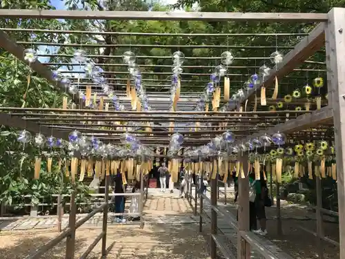 正寿院(京都府)