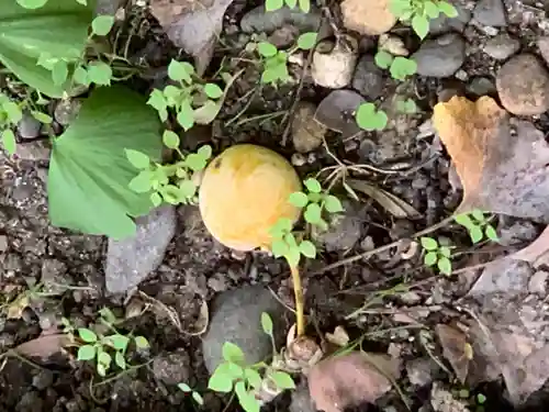 雄山寺(岩手県)
