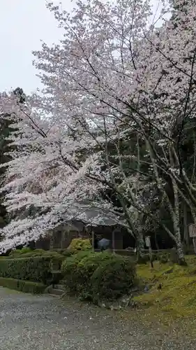 醍醐寺(京都府)