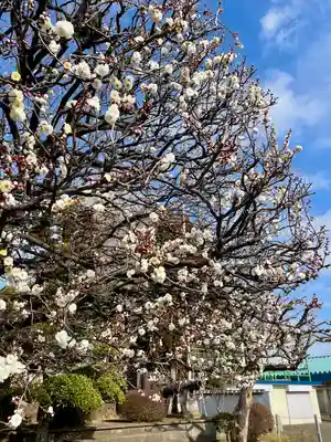 長泉寺(神奈川県)