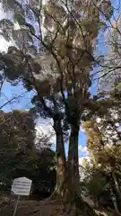 佐牙神社(京都府)