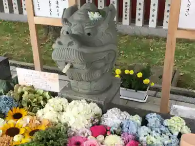 新川皇大神社の手水舎