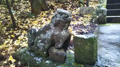 新山神社の狛犬