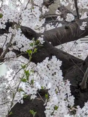 玉眞院玉川大師(東京都)