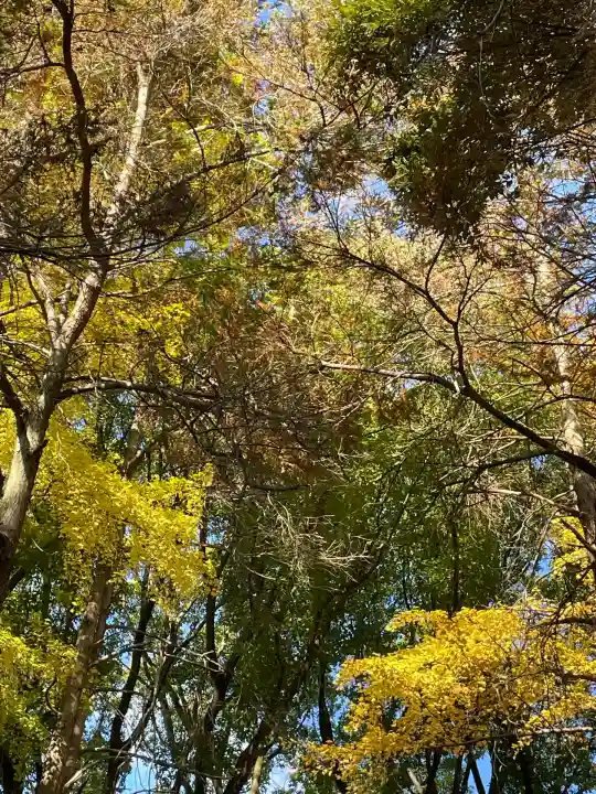洲崎大神(神奈川県)