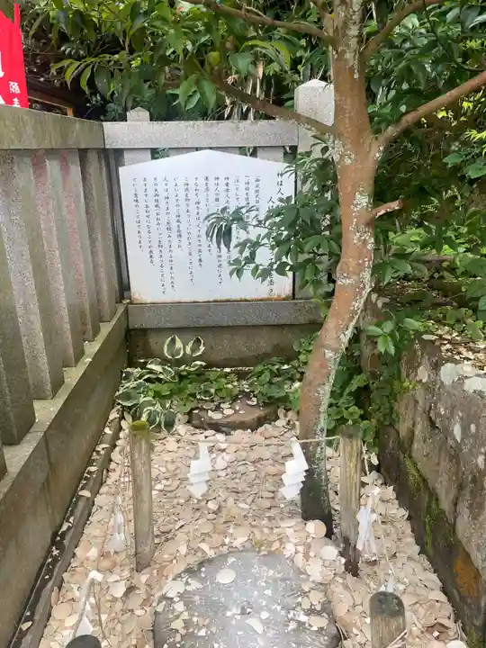 毛谷黒龍神社(福井県)