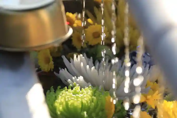 豊景神社の手水舎