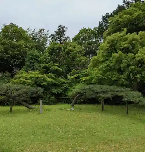 海龍王寺の自然