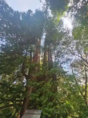伊佐須美神社(福島県)