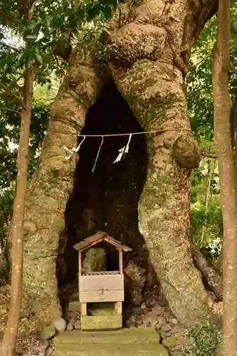 石見国一宮　物部神社(島根県)