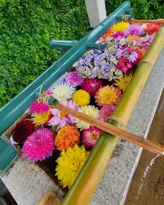 伊和志津神社(兵庫県)