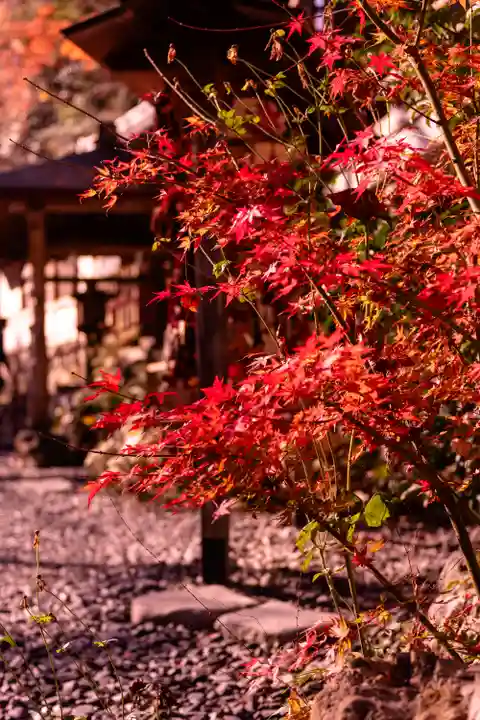 貴船神社(京都府)
