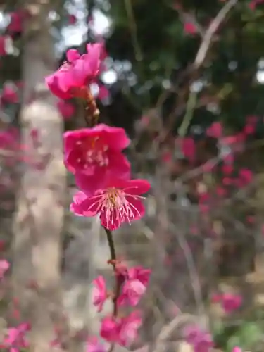一山神社の自然