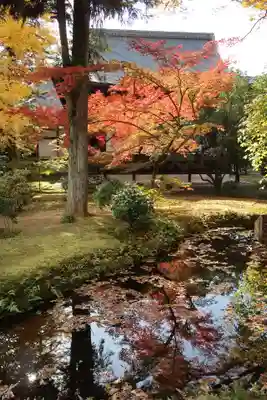廣隆寺(京都府)