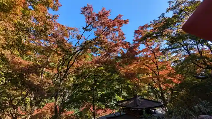 愛宕念仏寺(京都府)