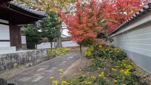 興聖寺(京都府)