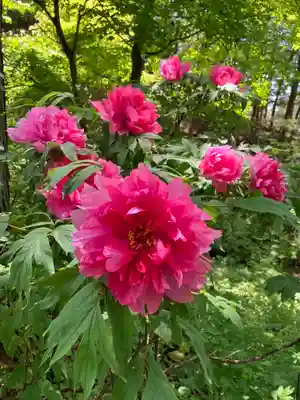 遠照寺(長野県)