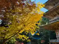 鶴林寺(徳島県)