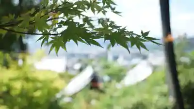 圓光寺(京都府)