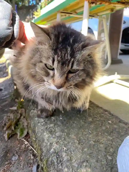 唐澤山神社(栃木県)