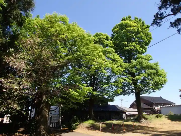 味知郷神社の自然