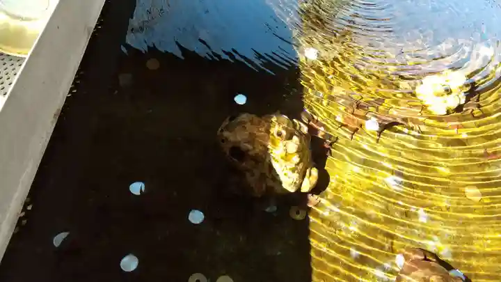 南湖神社のその他建物