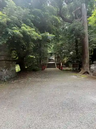武蔵二宮 金鑚神社(埼玉県)