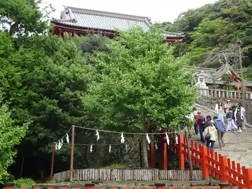 鶴岡八幡宮の自然