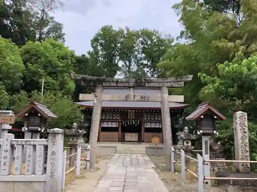 和泉國一之宮　大鳥大社の鳥居