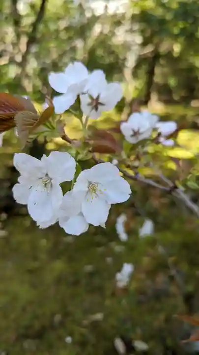 等持院(京都府)