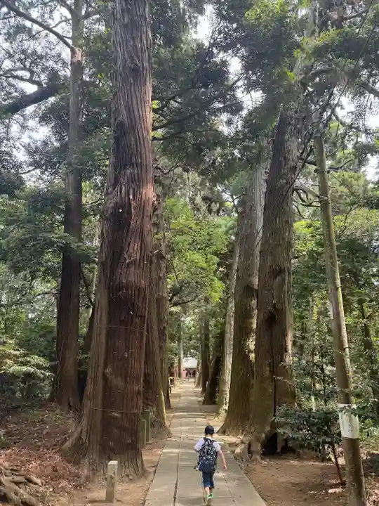 日吉神社(千葉県)