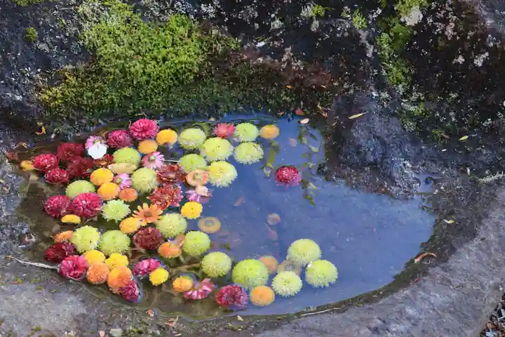 大鏑神社の手水舎