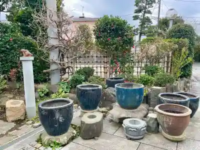 日蓮宗龍口山本龍寺の{uncategorized: "未分類", other: "その他", undefined: "問題あり", building: "その他建物", grave: "お墓", sacred_gate: "鳥居", guardian: "狛犬", statue: "像", buddha: "仏像", history: "歴史", nature: "自然", garden: "庭園", animal: "動物", pagoda: "塔", temizu: "手水舎", mountain_gate: "山門・神門", sanctuary: "本殿・本堂", subordinate: "末社・摂社", art: "芸術", scenery: "景色", jizo: "地蔵", ema: "絵馬", goshuin: "御朱印", omikuji: "おみくじ", items: "授与品その他", amulet: "お守り", goshuincho: "御朱印帳", eats: "食事", festival: "お祭り", votive_dance: "神楽", shichigosan: "七五三参", wedding: "結婚式", experience: "体験その他", initially: "初詣", around: "周辺", anti_infection: "感染症対策"}