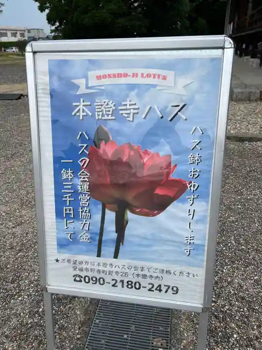 雲龍山 本證寺のその他建物