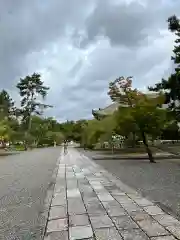 廣隆寺(京都府)