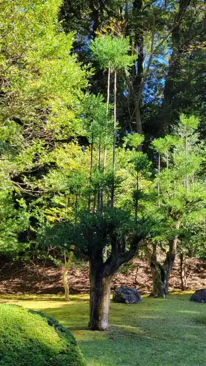 伊勢神宮内宮(皇大神宮)(三重県)