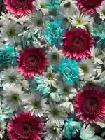 根岸八幡神社の手水舎