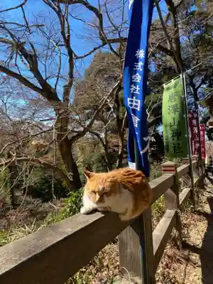 唐澤山神社(栃木県)