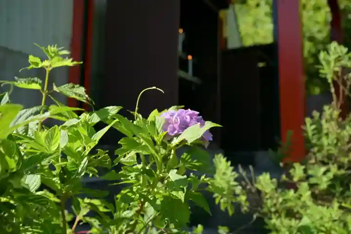 高龍神社 奥之院(新潟県)