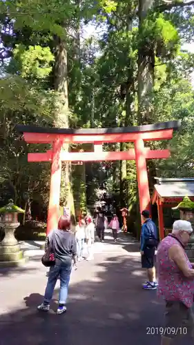 箱根神社の鳥居