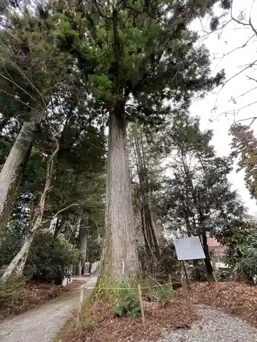 西照神社の自然