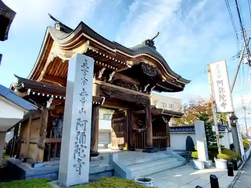 阿弥陀寺の山門