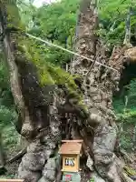 葛見神社(静岡県)