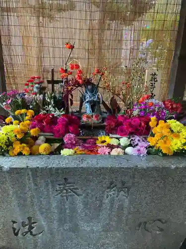 札幌諏訪神社の手水