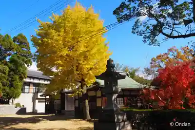 多井畑厄除八幡宮(兵庫県)