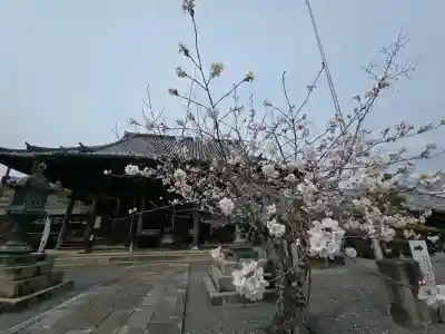 穴太寺の{uncategorized: "未分類", other: "その他", undefined: "問題あり", building: "その他建物", grave: "お墓", sacred_gate: "鳥居", guardian: "狛犬", statue: "像", buddha: "仏像", history: "歴史", nature: "自然", garden: "庭園", animal: "動物", pagoda: "塔", temizu: "手水舎", mountain_gate: "山門・神門", sanctuary: "本殿・本堂", subordinate: "末社・摂社", art: "芸術", scenery: "景色", jizo: "地蔵", ema: "絵馬", goshuin: "御朱印", omikuji: "おみくじ", items: "授与品その他", amulet: "お守り", goshuincho: "御朱印帳", eats: "食事", festival: "お祭り", votive_dance: "神楽", shichigosan: "七五三参", wedding: "結婚式", experience: "体験その他", initially: "初詣", around: "周辺", anti_infection: "感染症対策"}