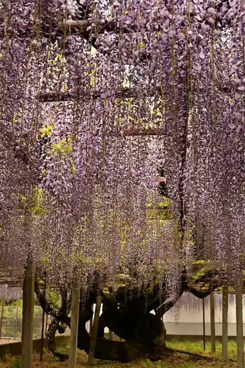 長泉寺(埼玉県)